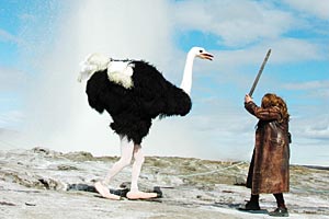 Artikelbild: Drama mit Vogel Strauß: "Destroy Thingvellir" aus Christoph Schlingensiefs "Animatograph - Iceland-Edition".
&nbsp; - Foto: Schlingensief-Produktion