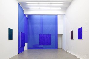 Artikelbild: Für seine neueste Serie großformatiger Tafelbilder hat Heimo Zobernig 
ein Display entwickelt, das an eine Blue Box erinnert.  - Foto: Galerie Meyer Kainer 