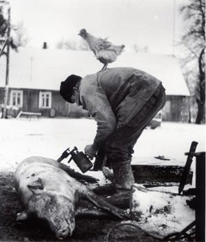 Artikelbild: "Lithuania/Slaughter" (1982) von Rimaldas Viksraitis. - Foto: Viksraitis 