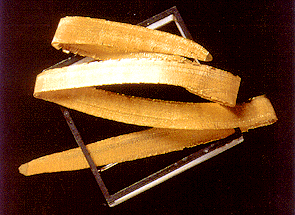 Annamaria Zanella: Brosche, 1996