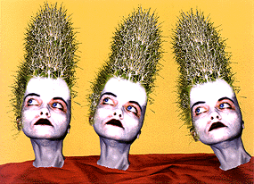 Andrea Kalteis: Kakteenk�pfe, 1998