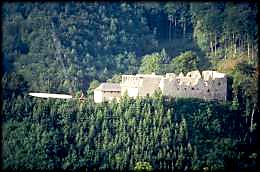 Die Burgruine in Reinsberg
