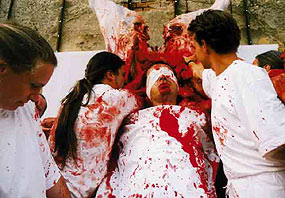 Hermann Nitsch, 1998