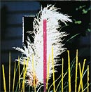 John Baldessari (Zum Vergr��ern anklicken)