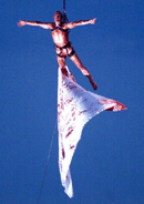 Flatz / �Bild: APA