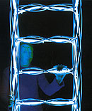 Ladder to Heaven, 2000 (Zum Vergr��ern anklicken)