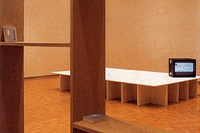 Covering the Room, 1998 (Salzburger Kunstverein)