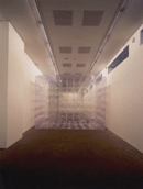 Aufblasbares Objekt, 2000 (Zum Vergr��ern anklicken)