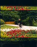 Filmstill aus 
