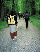 Walking Backward for Ten Kilometres, Frankreich, 2002 / ©Bild: H. Fulton