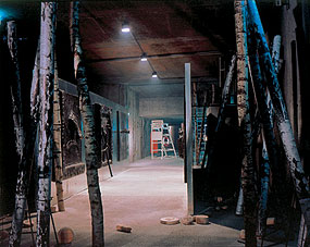 Tiefes Kehlchen, Wiener Festwochen, 1991