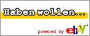 Ebay-Auktion