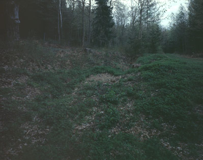 Foto: Ernst Logar
