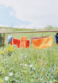 Foto: Museum Moderner Kunst Stiftung Ludwig