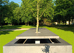 Foto: Nikolaus Baumhakel 