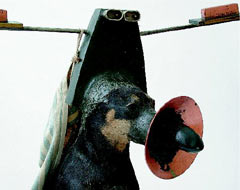 Foto: Galerie Hofstätter 