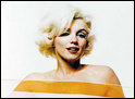 �Bert Stern