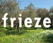 Frieze