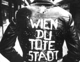 Illustration
- Am Weg zur lebendigen Stadt: Ein junger Arena-Demonstrant vor 30 Jahren.  Foto: apa 

