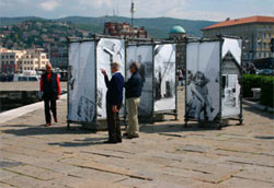 Foto: Vera Sebauer 