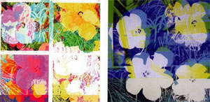 Copyright: Cornelia Sollfrank