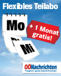 13 Monate O�N nach Wahl zum Preis von 12