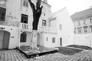 Foto: das weisse haus