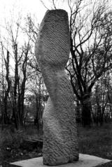 „Große Stolze“.  Foto: Truger 