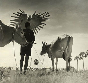 Foto. Westlicht / © Werner Bischof