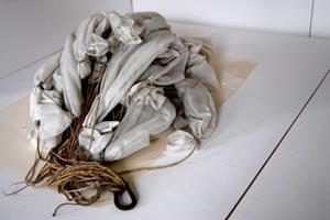 Foto: Galerie Knoll