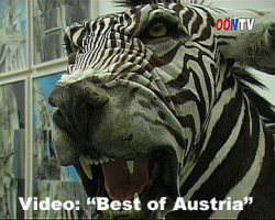 O�N-TV