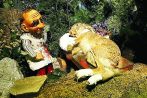 Verr�cktes schreiben