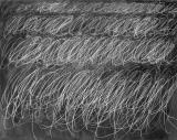 Linkische Eleganz: "Untitled" von Cy Twombly. Foto: Archiv Nicola del Roscio, Rom/Jochen Littkemann