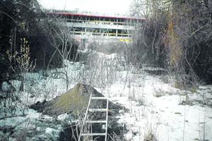 Foto: Zebedin Artikelbild