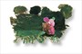 Titelbild