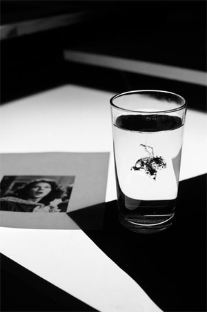 Artikelbild: Nadim Vardag hat u. a. die 81-teilige Diainstallation "Mitternacht" von 
Kathrin Sonntag für die Ausstellung "art&amp;film" in der Box der 
Galerie Georg Kargl (Schleifmühlg. 5) ausgewählt. - Foto: Galerie Kamm, Berlin