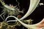 Titelbild