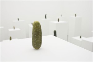 Artikelbild: Erwin Wurms aktuelle Ausstellung im Museum der Moderne in Salzburg: 36 
Selbstporträts als Essiggurkerl. - Foto: VBK, Wien 2010