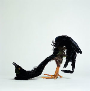 Foto: Wolfgang Woessner Artikelbild: Gebrochene Weiblichkeit: die Skulptur "Netter Raubvogelschuh" (1974/75) von Birgit Jürgenssen. - Foto: Wolfgang Woessner