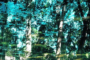 Foto: Galerie Ruzicska / Krause & Johansen Artikelbild: Von seinem Lehrer Bernd Becher hat Axel Hütte die Konsequenz gelernt, mit der ein Motiv zu verfolgen ist: Wasserspiegelungen (hier in Aranjuez 2007) faszinieren den Fotografen. - Foto: Galerie Ruzicska / Krause & Johansen