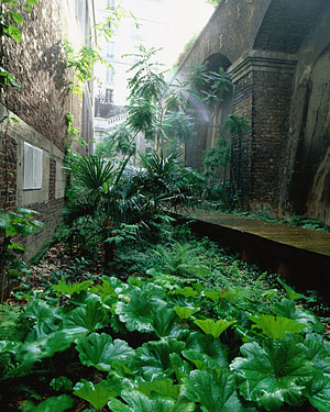 Artikelbild: "Le Jardin Sauvage"  realisierten atelier le balto 2002 für das Palais 
de Tokyo: Binnen zwei Wochen wurden zur Eröffnung des neuen Kunstortes 
alle Bedingungen zum Wachsen eines Urwaldes geschaffen. - Foto: Monel