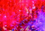 Tarun 
Chhabras "Holi Celebrations" (2007) als Dokumentation eines 
farbenprächtigen Festes. Foto: T. Chhabra