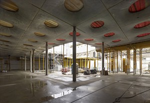 Artikelbild - Foto: Norbert Miguletz 