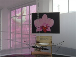 Artikelbild: Die bunte und nicht unprovokante Welt von Cornelius Kolig - nun in 
Innsbruck zu begutachten.  - Foto: AuT
