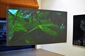 Artikelbild: Im Video "the garden" (2011) lockt uns Agnieszka Polska in einen Garten,
 
vermeintlich jenen des Künstlers Pawel Freisler.  - Foto: Galerie Kargl