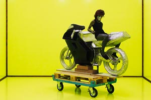Artikelbild: "My Bike and Your Swamp (6 pm)", 2008 - Foto: Kunsthalle Wien /  Stephan Wyckoff 