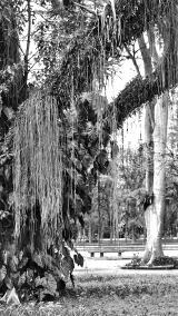 Konstruierte Paradiese: Inés Lombardi (im Bild: "Ohne 
Titel", 2011) blickt auf die komplexe Beziehung von Kunst und 
Natur. Foto: Secession