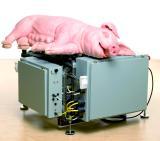 Fühlt 
sich sauwohl auf einem Kopierer: Paul McCarthys "Mechanical 
Pig" (2005). Foto: Mischa Nawrata/McCarthy
