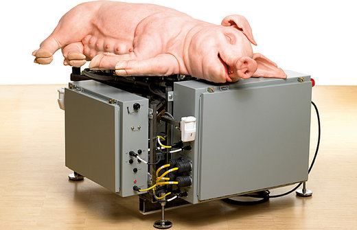 "Mechanical Pig" von Paul McCarthy "Mechanical Pig" von Paul McCarthy