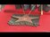Hollywood-Stern f�r Rocks�nger Bryan Adams